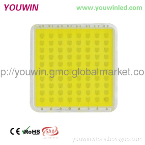 IP65 80W LED Mining Lamp CE RoHS SAA